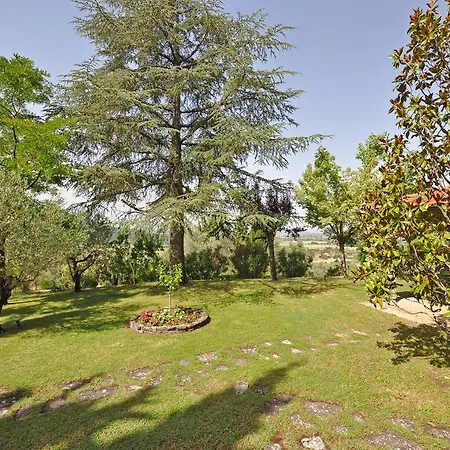 Villa Cedri