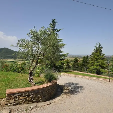 Cedri *